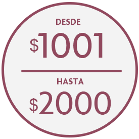 Juguetes de $1001 a $2000 | Portal Mayorista