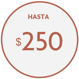 Juguetes hasta $250 | Portal Mayorista